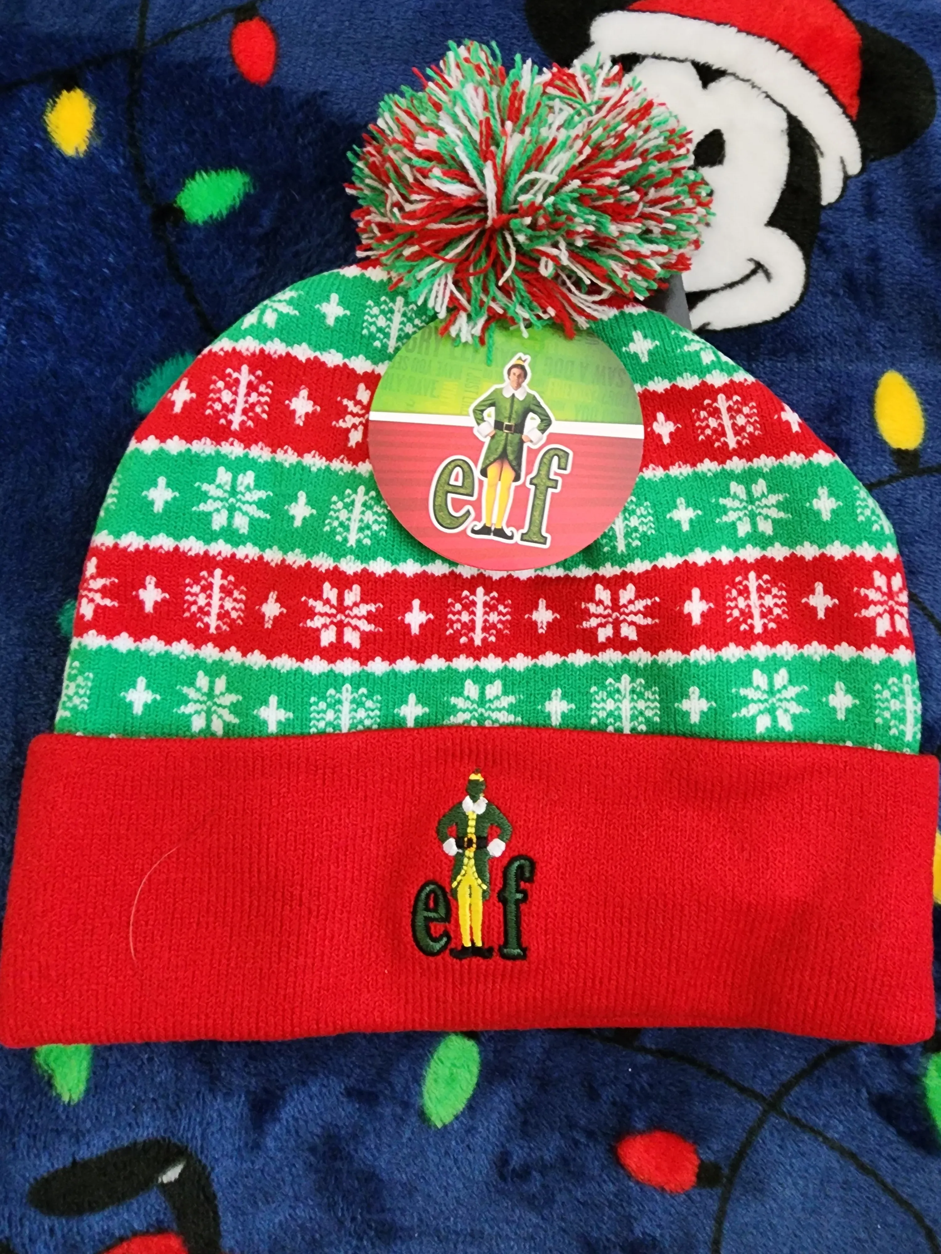 Elf Christmas Beanie