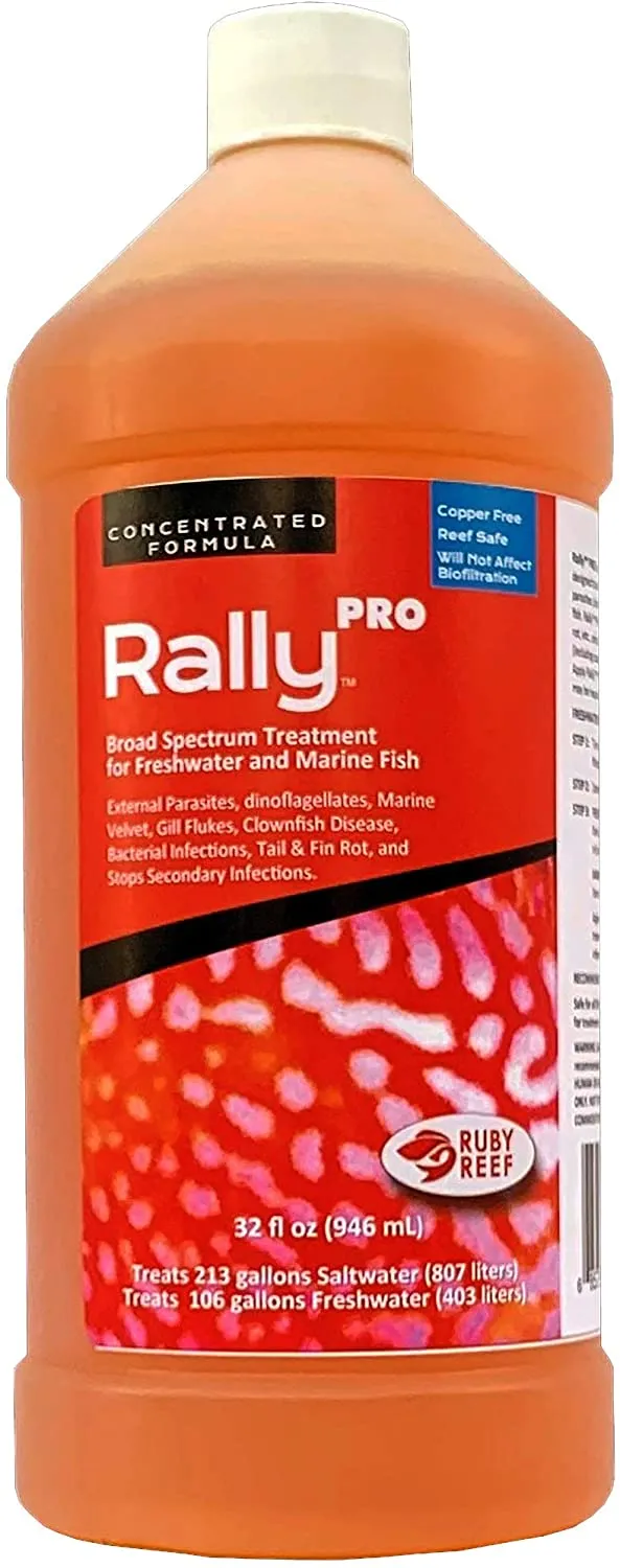 Ruby Reef Rally Pro