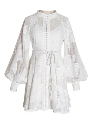 Stand Collar Embroidery Mini Dress